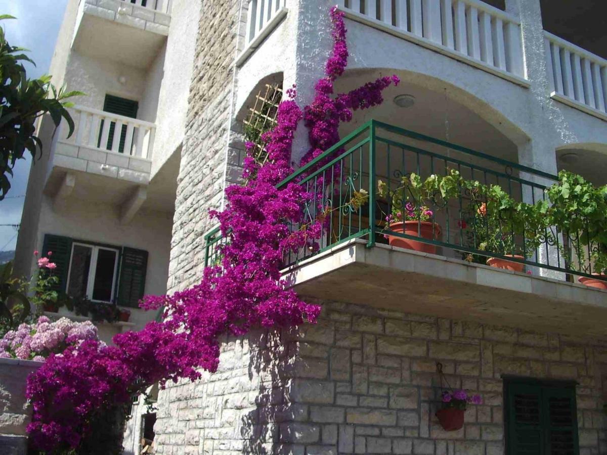 Sani Apartment